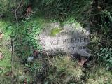 image of grave number 583810